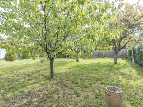 photo_5c4a1ff40ec3bb3dc223a85fd4962095