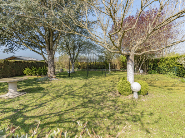 photo_776f71150839af65c6dd5ec1c83c446a