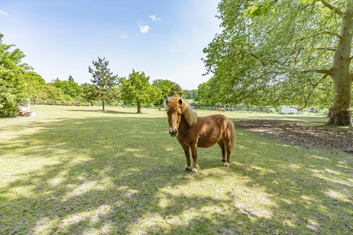 photo_8d63d9ce089b7be8ca6923815924ef28 photo_8d63d9ce089b7be8ca6923815924ef28