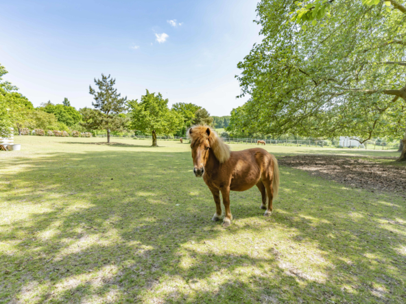 photo_8d63d9ce089b7be8ca6923815924ef28 photo_8d63d9ce089b7be8ca6923815924ef28