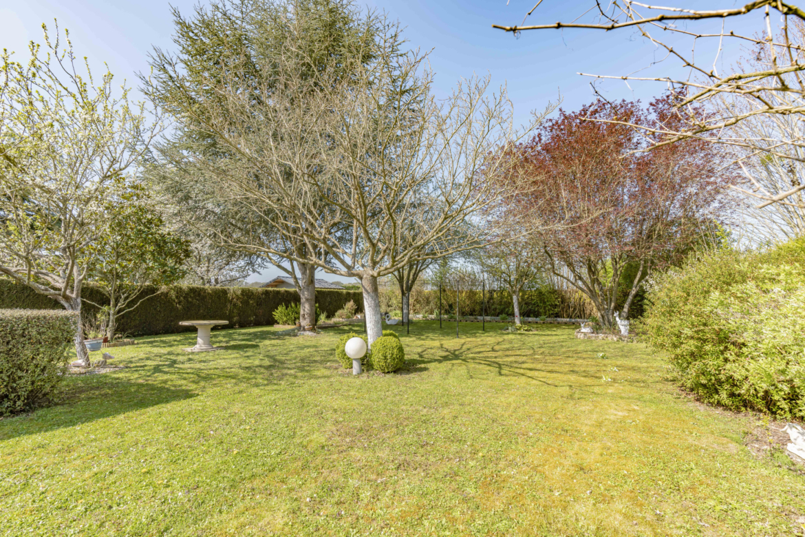 photo_97f5a44ca9453fe53ebbd9a6695d7002