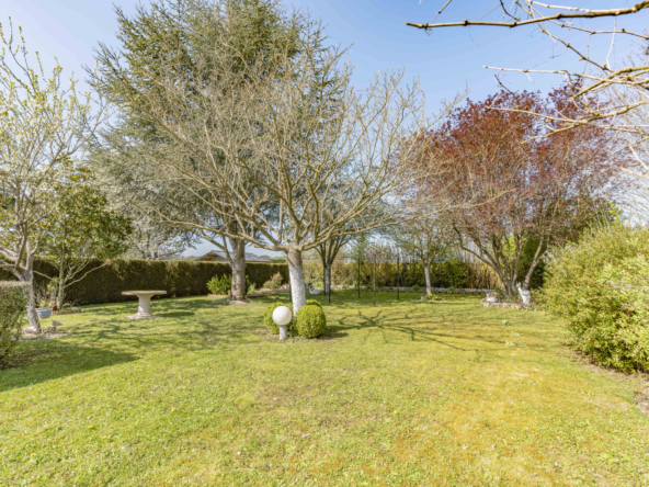 photo_97f5a44ca9453fe53ebbd9a6695d7002