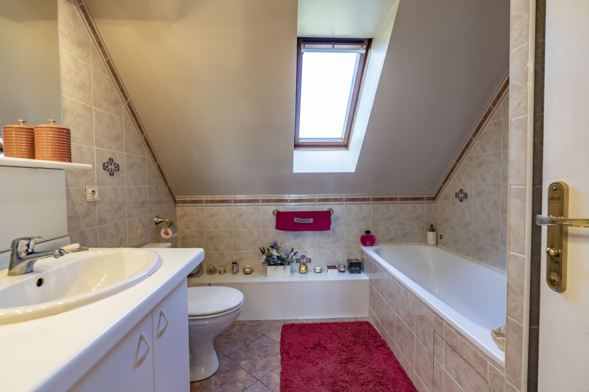 photo_c32631c559acf62a240b676a429fc460