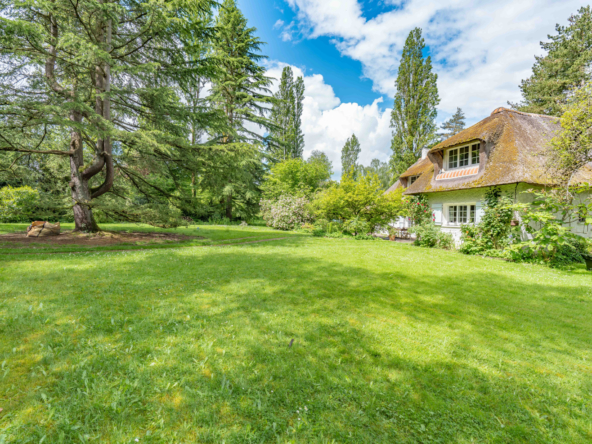 photo_9c89b5a4fe14e89fc0c086d712108136