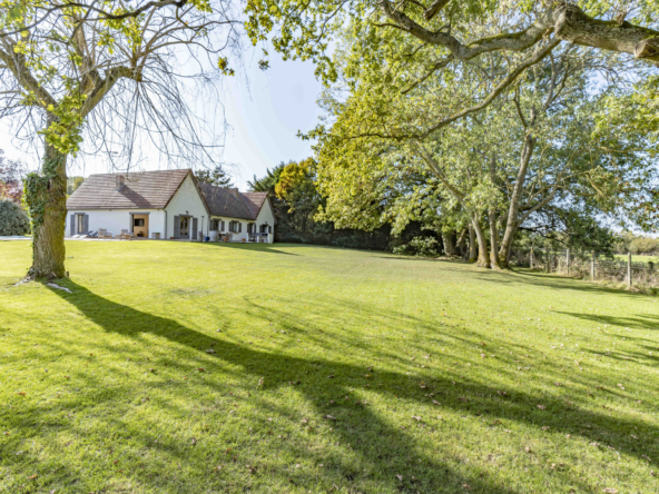 photo_ca9f6422fa35b5516f4ba5ed5638b0a6