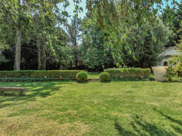 photo_397aff3409c9e3f52af666c40350f3f9