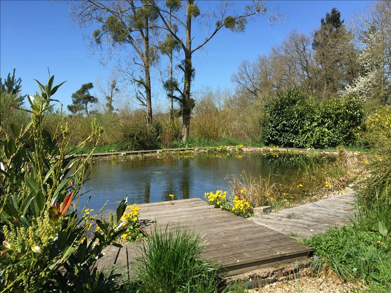 18fc8f8ddf6579d5c1fd83f9f948039a