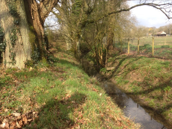 712ecb4b84a97a95953bf40b19684637