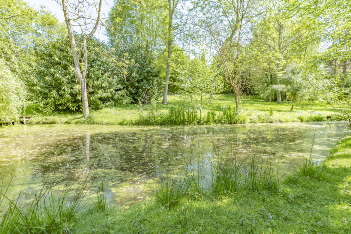 photo_6b46c0d2e760f82bd8f8e05aa536145d