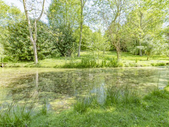 photo_6b46c0d2e760f82bd8f8e05aa536145d