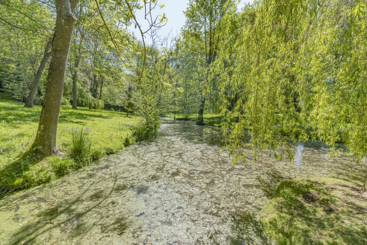 photo_97e9fdf123106a2119c51dc9b9accb30