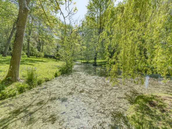 photo_97e9fdf123106a2119c51dc9b9accb30