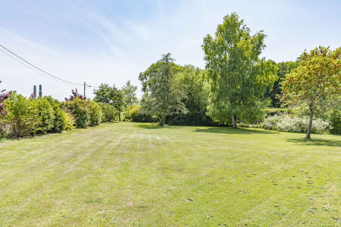 photo_d8cf1e3dae252fc27d3551e257314248