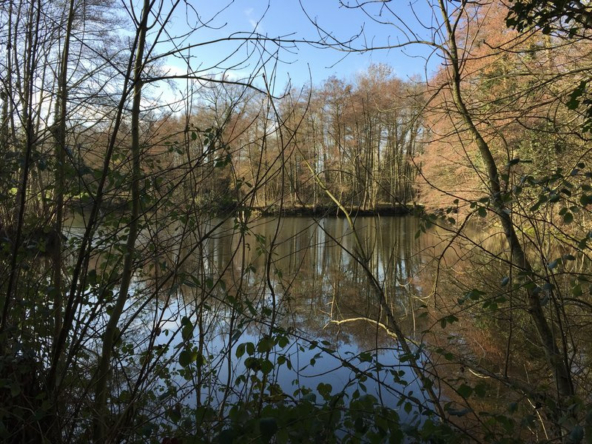 4a2e0ff1fa52a03c6927155b23e1346f