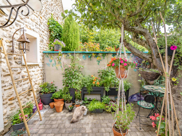 photo_1dc221f71e6f2e4db0e81d9f4e921fdb