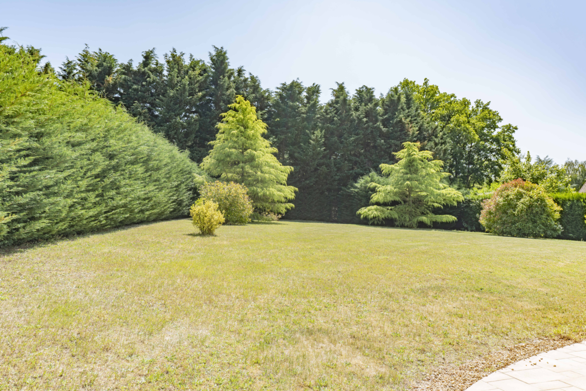 photo_94123495eb2bc0c42c0f2901900cefb8