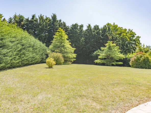 photo_94123495eb2bc0c42c0f2901900cefb8