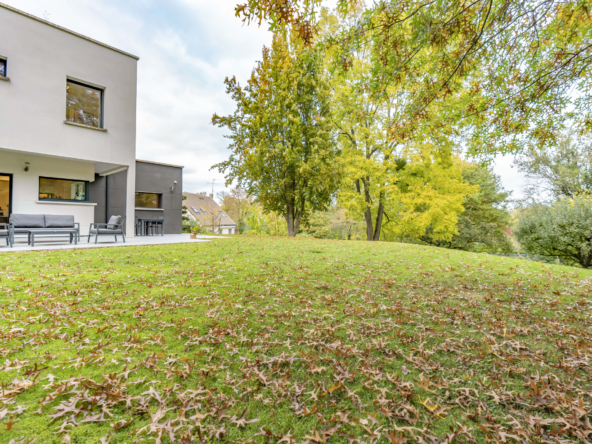 photo_985a099310d919f183f145d5608ef729