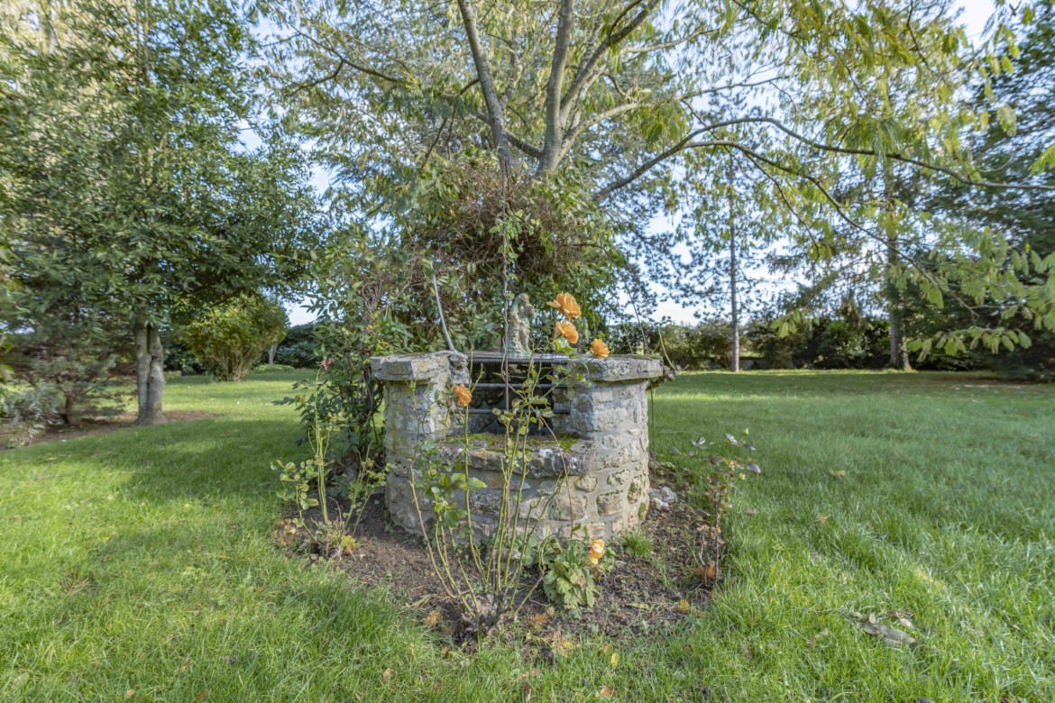 photo_b4ae34e48dd8d4e40b143b1052e38114