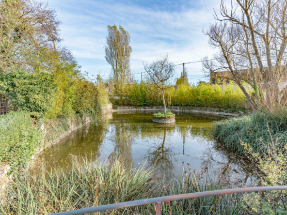 photo_c601629329d7e5204f7db380221adb8c