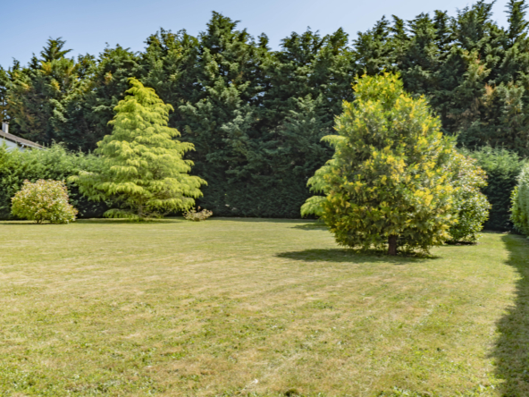 photo_ef1a79309964bb0dcbfbfa14ce5f4f44