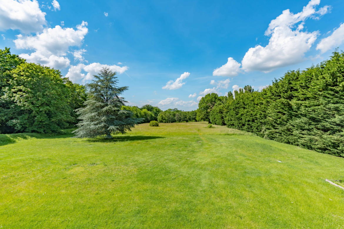 photo_efdd1cebe6dddf198e02ffd0fd1096e4