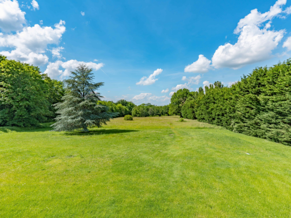 photo_efdd1cebe6dddf198e02ffd0fd1096e4