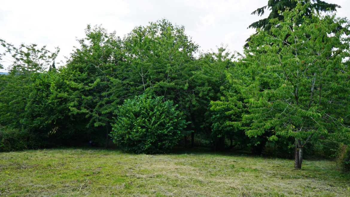 0db2f322e4d57d24caa6b95c7ef15e6a