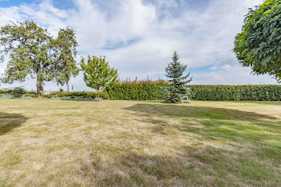 photo_0080c19ce5feb5f200c7c93d6b97952d