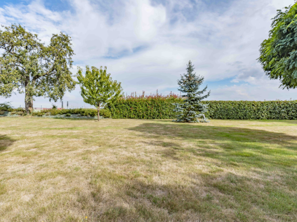 photo_0080c19ce5feb5f200c7c93d6b97952d