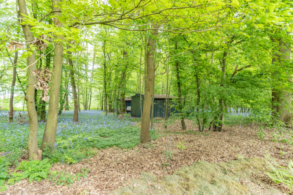 photo_047699d22fbbb5a112ab141ea7137c90