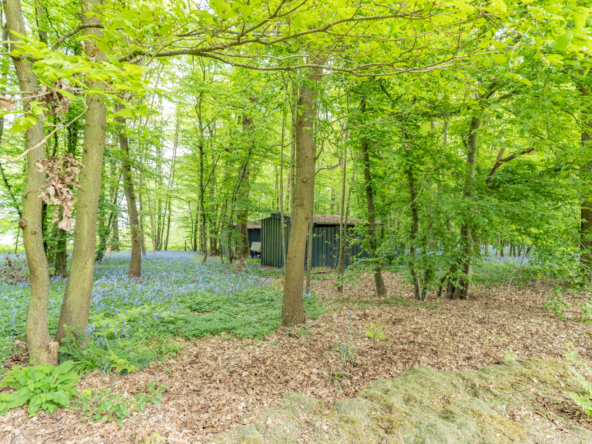 photo_047699d22fbbb5a112ab141ea7137c90