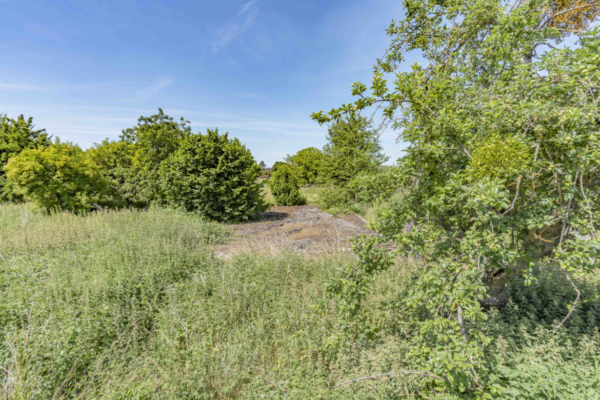 photo_0600ca4be2c5bf56529a3f7d2cbe115f