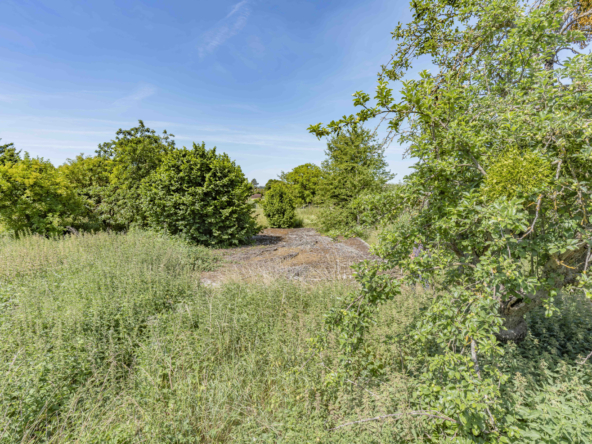 photo_0600ca4be2c5bf56529a3f7d2cbe115f