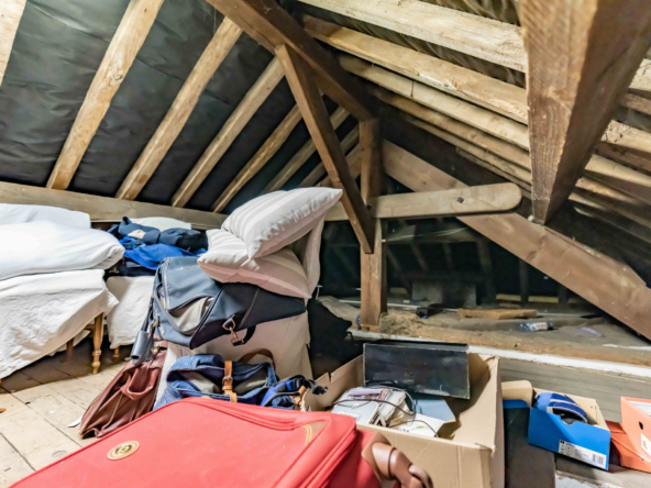 photo_0c33912cc8f2a5e1dfc5d3ec3c46df4b