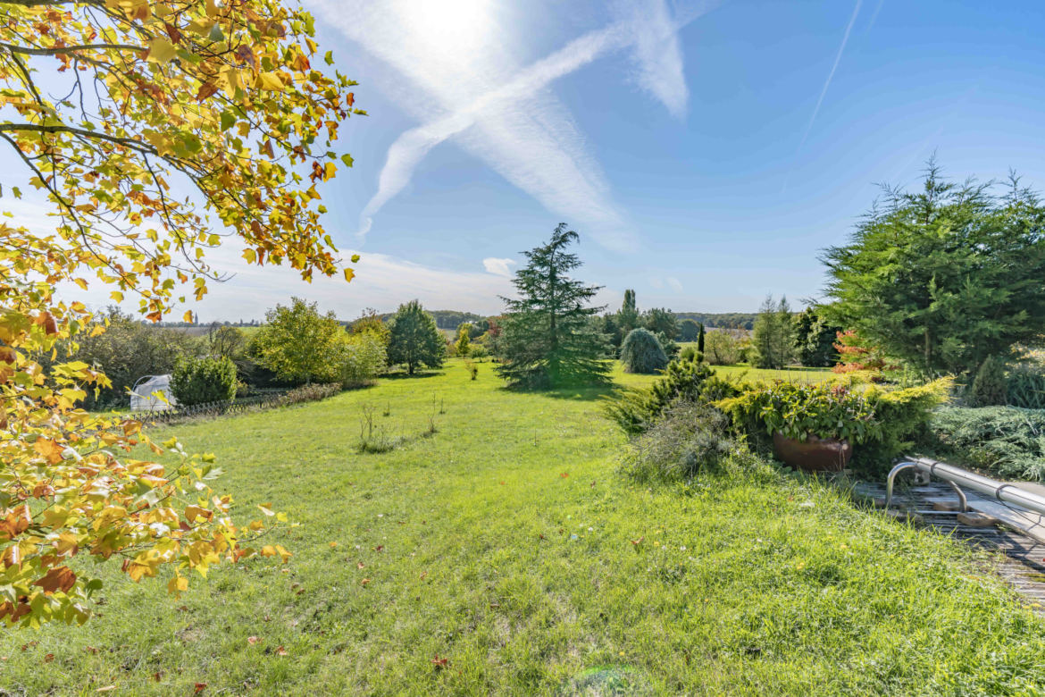 photo_0c45b9555e81eb2d863e79921374c290