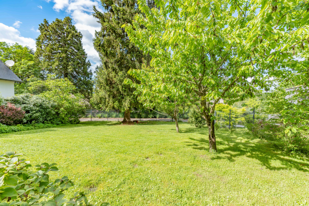 photo_13eb76a4e9f6d7d2fae33479c6e45c01