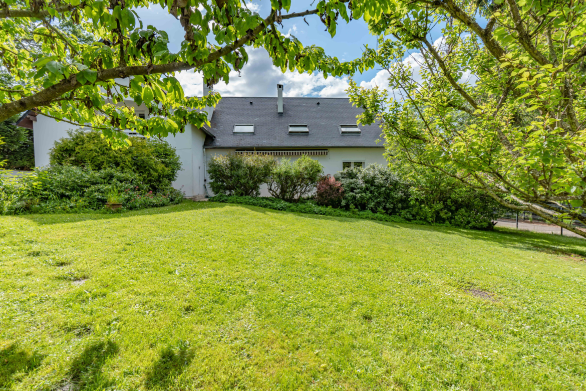 photo_1cee919a9f64ae46ed45030ab9eefac6