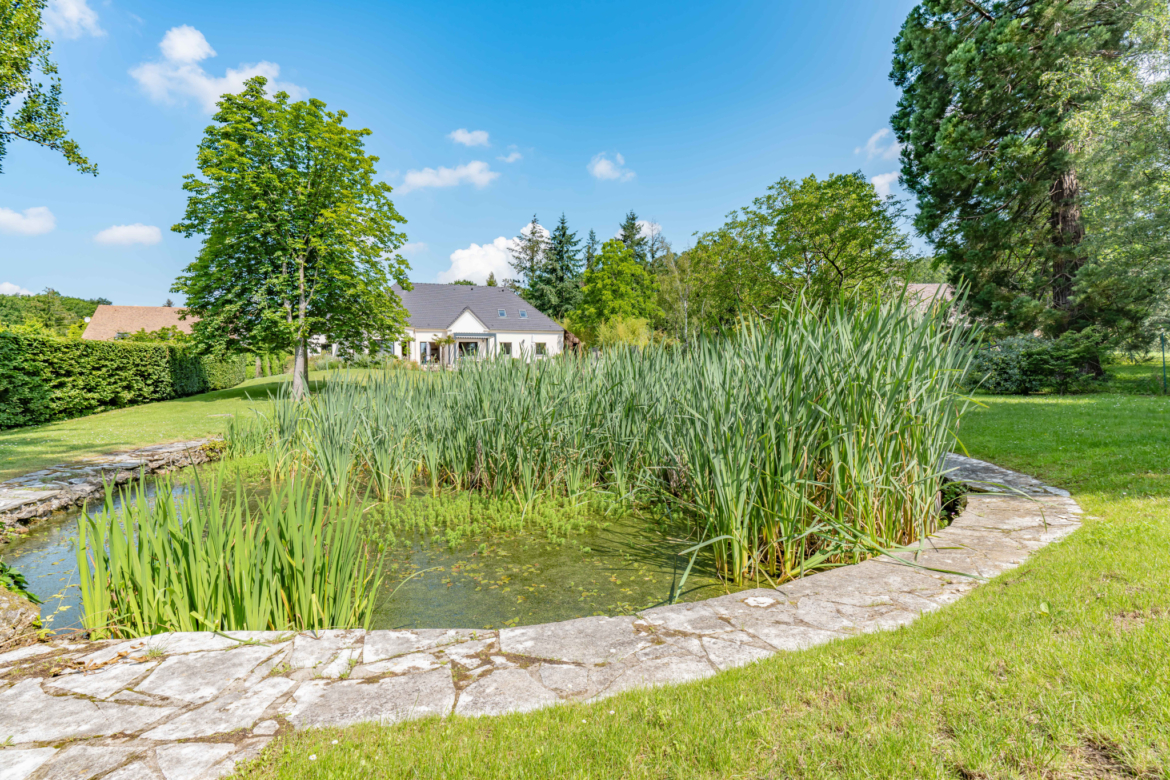 photo_26c484f117e60b2ef215fc0d8e5c5665