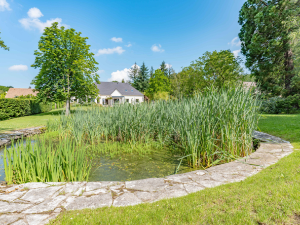 photo_26c484f117e60b2ef215fc0d8e5c5665