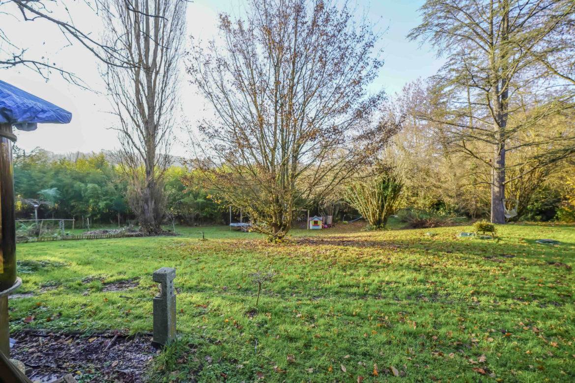 photo_2ca32a86f80442b98ffb294ca6437129