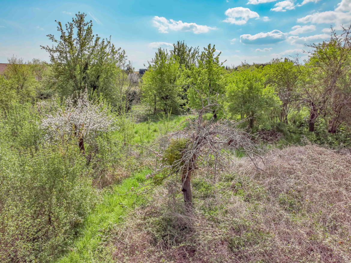 photo_2dc9ca67a5aafd297b0da0e071c5a228