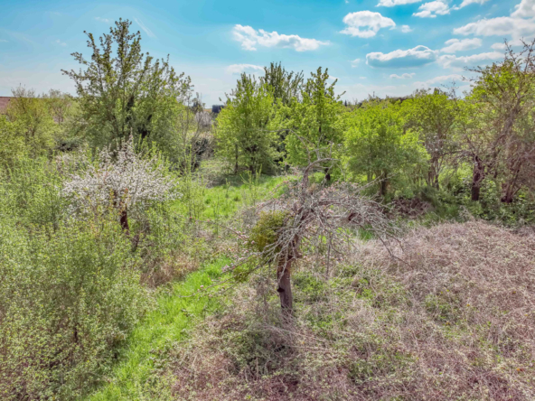 photo_2dc9ca67a5aafd297b0da0e071c5a228