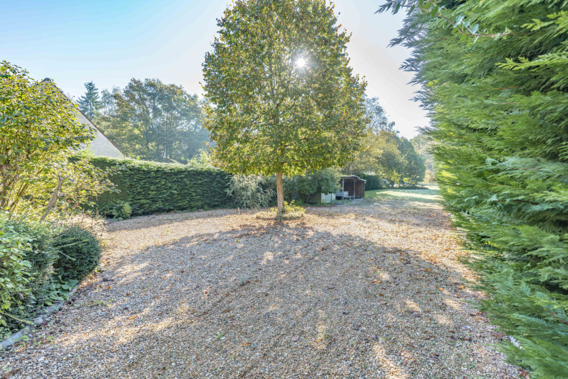 photo_32a639ac068a370c3f44d849e8a2d4e4