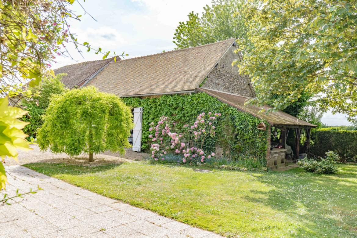 photo_47bfc49c1ff5a1ff052b54632e91411b