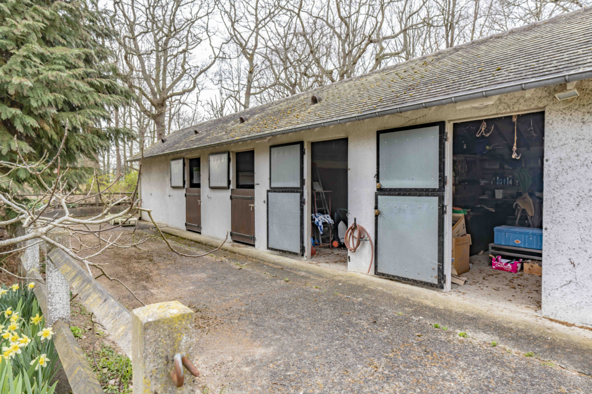 photo_49d0a726519fafda8193c1270685a171