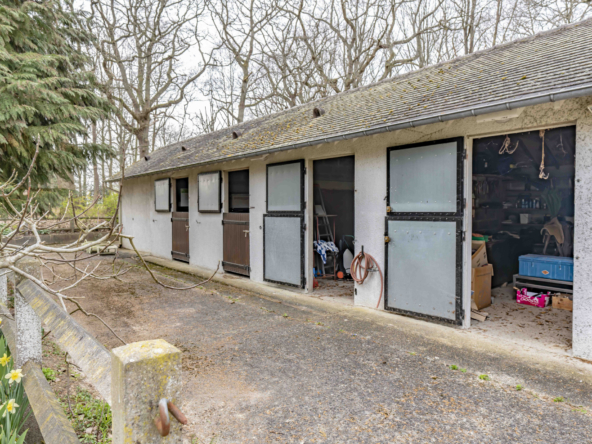 photo_49d0a726519fafda8193c1270685a171