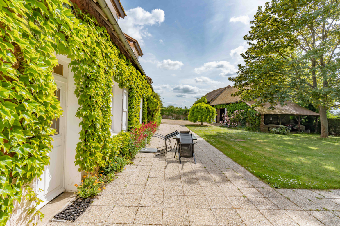 photo_5385c4d1fce858fd1c0b3d758360f8cc