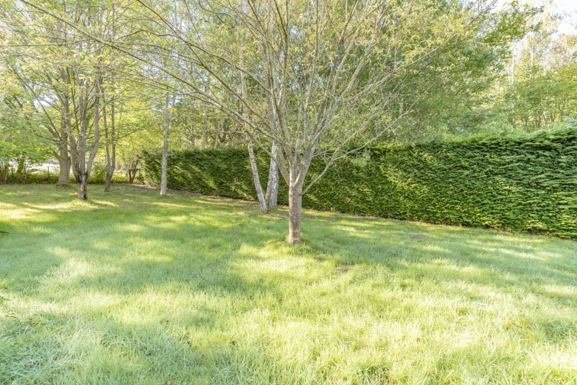 photo_562b57e937198b0fc4bb331239cc2612