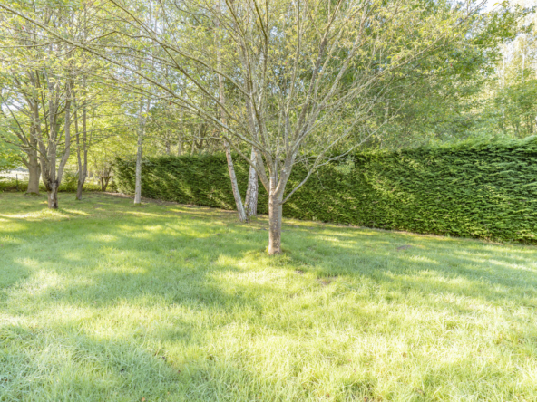 photo_562b57e937198b0fc4bb331239cc2612